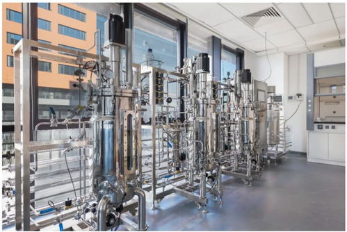 30萬億美元潛在市場 廣東軟件開發能否成為中國經濟增長新引擎？