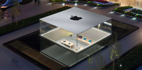 蘋果公司的產品開發流程及其對廣東軟件開發的啟示